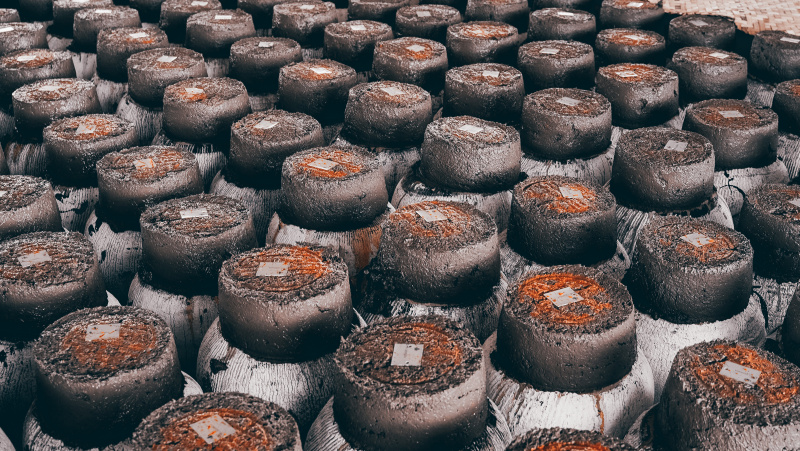 1752822519550423OaS2.jpg DSC02669-opq3493592303.jpg